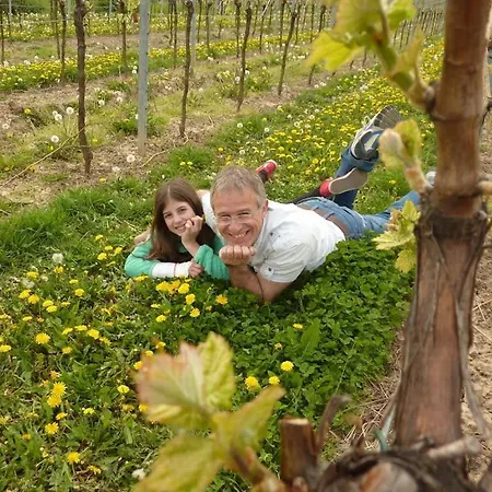 Herbert Ziegler Winery 